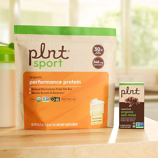 Explore Plnt items. Shop for these products